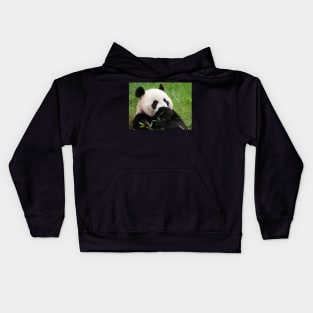 Giant panda bear Kids Hoodie